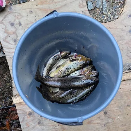 Feriehus Rasteplassen Stordalen